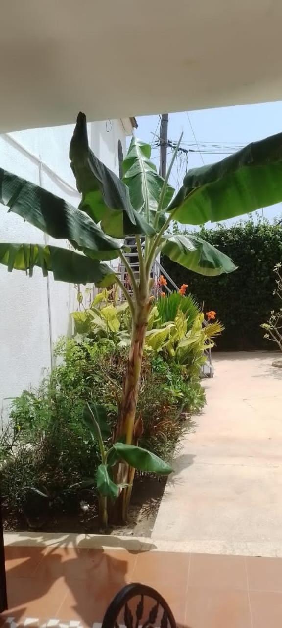 Riad Cote Jardin ซาลี ปอร์ตูดัล ภายนอก รูปภาพ